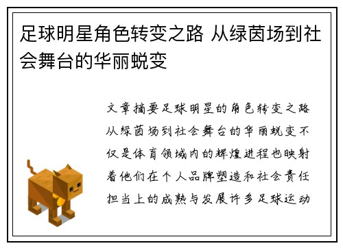 足球明星角色转变之路 从绿茵场到社会舞台的华丽蜕变